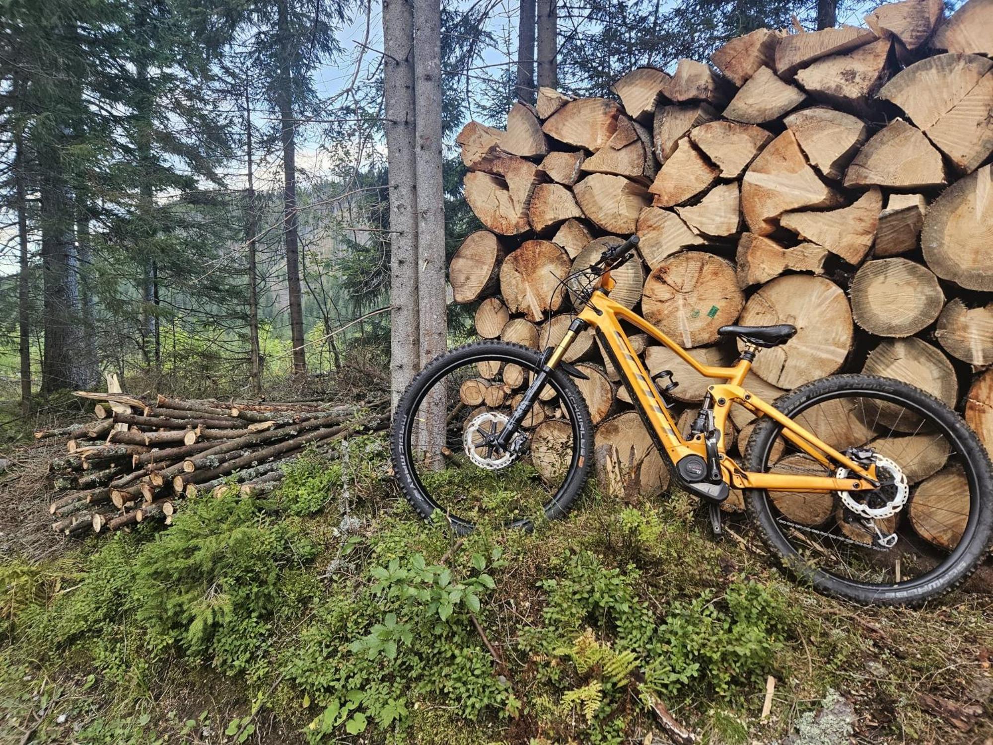 Osrodek Edukacji Lesnej Lesnik W Zakopanem, Zakopane